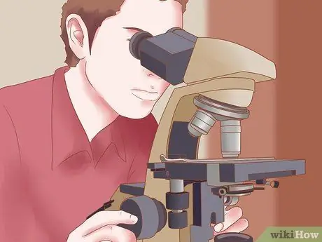 Определить древесину, шаг 2