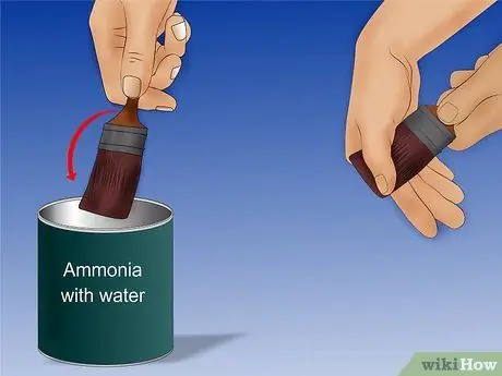 Нанесите Shellac Step 8