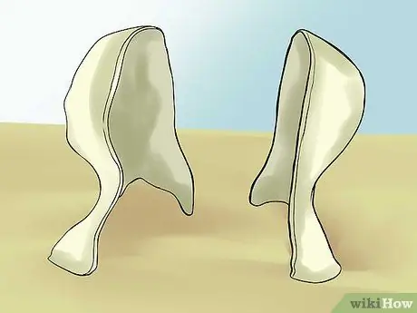 Сделайте маски на Хэллоуин, шаг 5