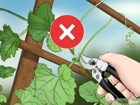 Чернослив с огурцами Шаг 12