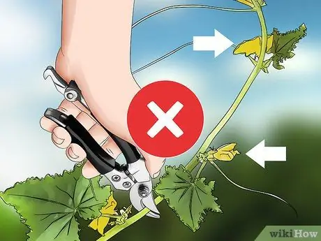 Чернослив с огурцами Шаг 7