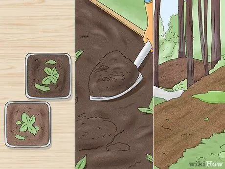 Предотвратить триходермию Шаг 2