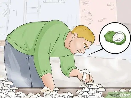 Предотвратить триходермию Шаг 3