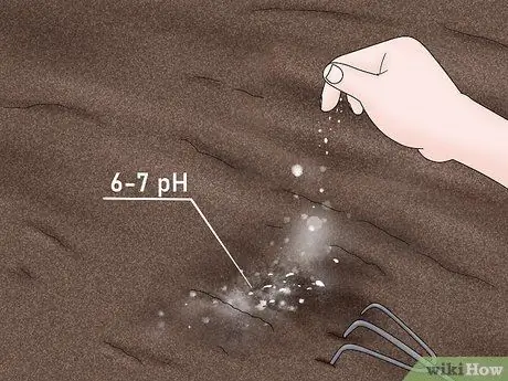 Предотвратить триходермию Шаг 7