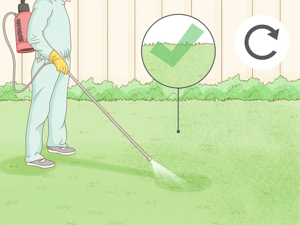 Эффективные способы предотвращения роста травы