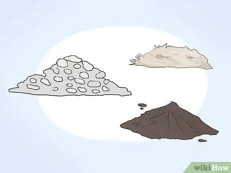 Выращивайте кактус в контейнерах, шаг 4