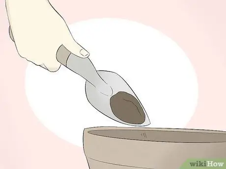 Выращивайте кактус в контейнерах, шаг 7