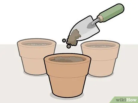 Обрезка рождественского кактуса Шаг 7