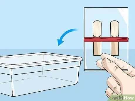 Трости для кларнета Store Step 7