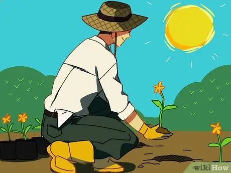 Отметьте шаг 5 летнего солнцестояния