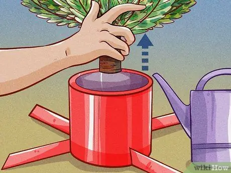 Полить елку Шаг 5