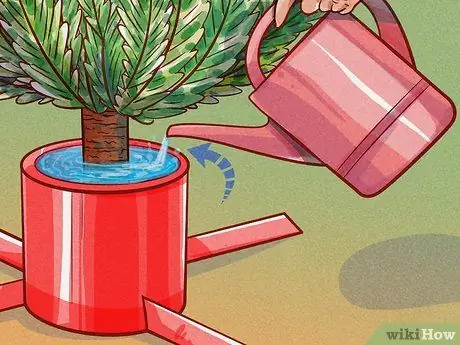 Полить елку Шаг 7