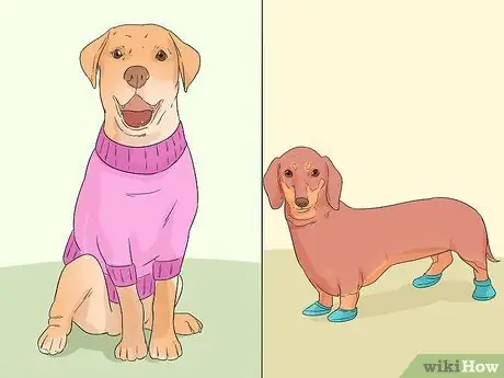 Выберите подарки для новых владельцев собак Шаг 5