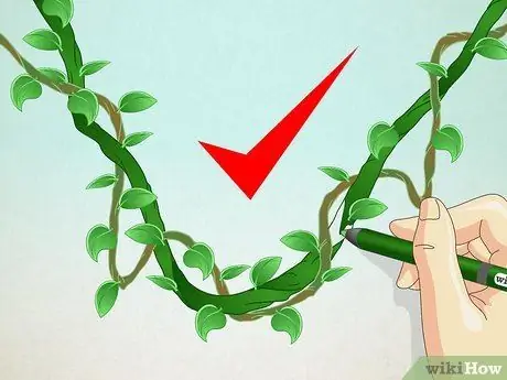 Рисуем виноградную лозу в джунглях. Шаг 7