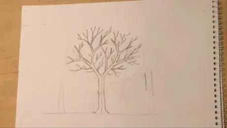 Dead_Tree_Branch