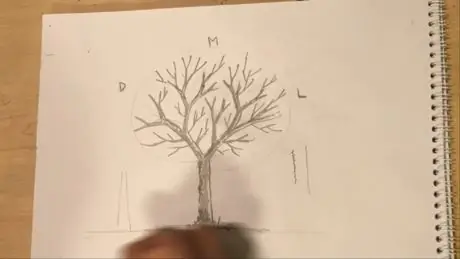 Dead_Tree_Detail