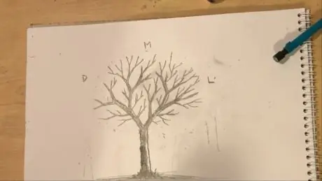 Dead_Tree_Tada!