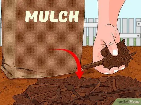 Предотвращение эрозии почвы Шаг 2