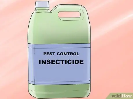 Выращивание виноградных лоз, шаг 11