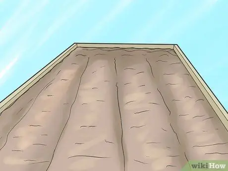 Выращивание виноградных лоз, шаг 3