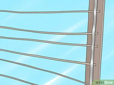 Выращивание виноградных лоз, шаг 5