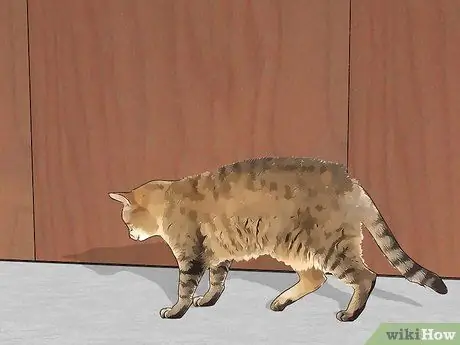 Избавьтесь от мышей, шаг 10