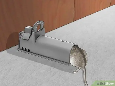 Избавьтесь от мышей, шаг 3