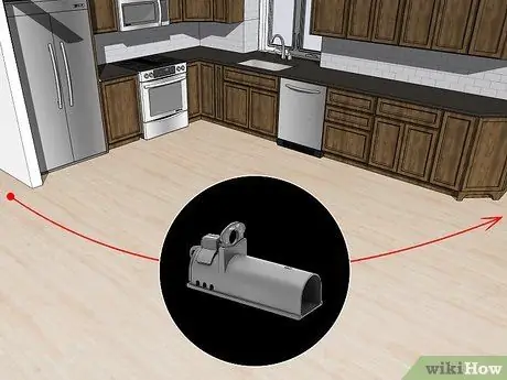 Избавьтесь от мышей, шаг 5