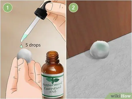 Избавьтесь от мышей, шаг 8