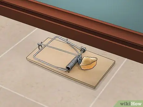 Избавьтесь от грызунов естественным путем, шаг 1