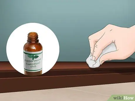 Избавиться от грызунов естественным путем Шаг 6