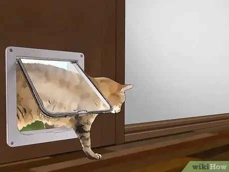 Избавиться от грызунов естественным путем Шаг 7