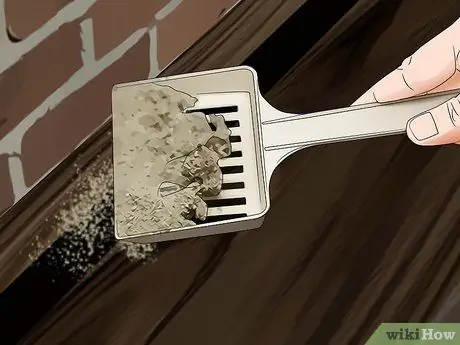 Избавиться от грызунов естественным путем Шаг 8