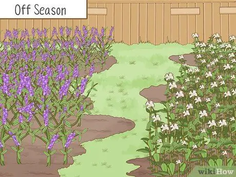 Быстрый разрушение глинистой почвы Шаг 9