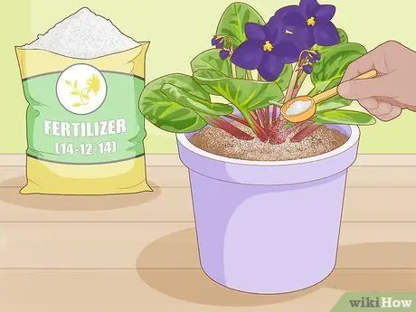 Сделайте смесь африканской фиолетовой почвы, шаг 10