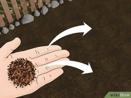 Выращивание полевых цветов Шаг 10