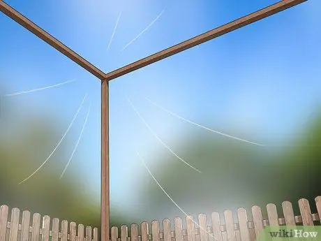 Выращивание полевых цветов Шаг 13