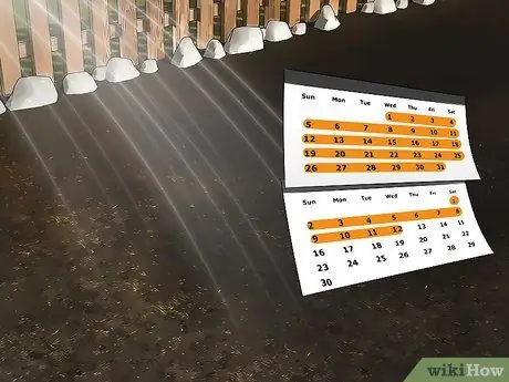 Выращивание полевых цветов Шаг 14