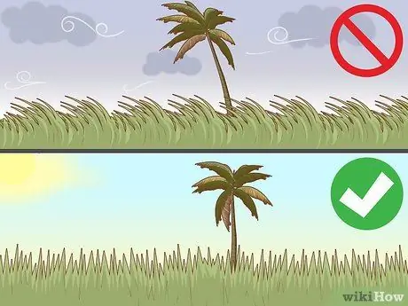Используйте Roundup Step 1