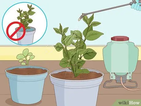 Используйте Roundup Step 5