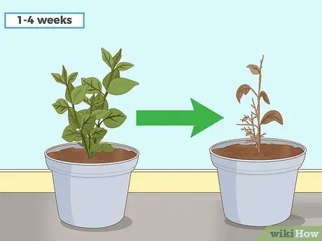 Используйте Roundup Step 7