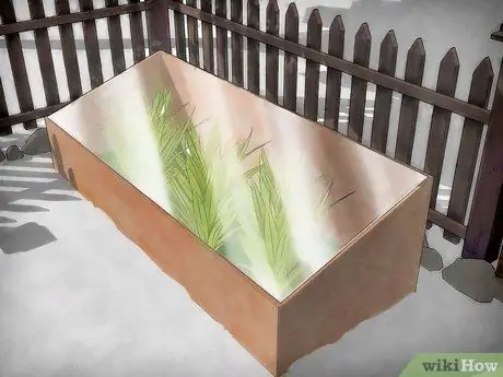 Защитите растения от холода Шаг 4