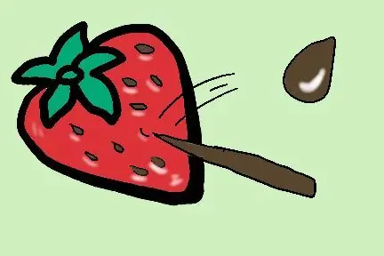 Посадка клубники в помещении Шаг 2