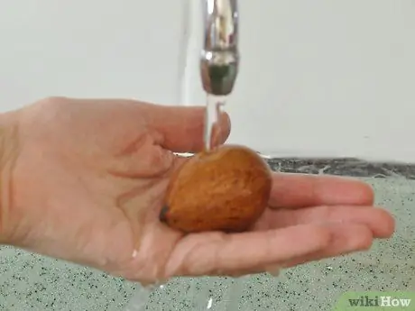 Вырастить авокадо как комнатное растение Шаг 4