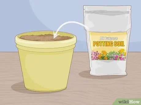 Растительный плющ Шаг 7