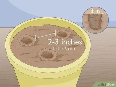 Растительный плющ Шаг 8