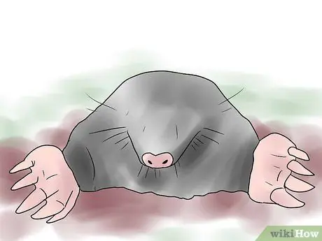 Убить крота Шаг 13 Убить крота Шаг 13