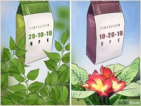 Выберите почву для растений Шаг 8