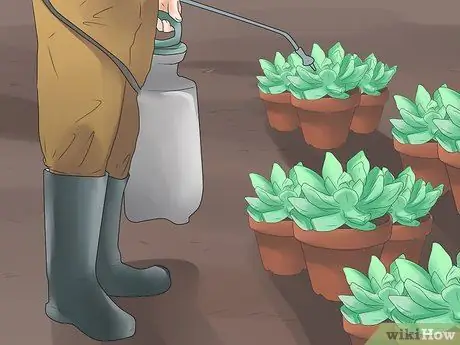 Xeriscape Шаг 14 Xeriscape Шаг 14