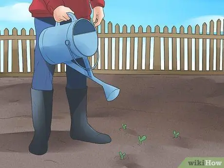 Xeriscape Step 6 Xeriscape Step 6